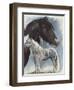 Gypsy Cob-Barbara Keith-Framed Giclee Print