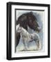 Gypsy Cob-Barbara Keith-Framed Giclee Print