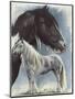 Gypsy Cob-Barbara Keith-Mounted Giclee Print