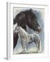 Gypsy Cob-Barbara Keith-Framed Giclee Print