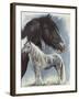 Gypsy Cob-Barbara Keith-Framed Giclee Print