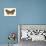 Gypsy Moth (Porthetria Dispar), Insects-Encyclopaedia Britannica-Poster displayed on a wall