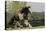 Gypsy Vanner Horse Running, Crestwood, Kentucky-Adam Jones-Stretched Canvas