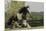 Gypsy Vanner Horse Running, Crestwood, Kentucky-Adam Jones-Mounted Premium Photographic Print