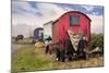 Gypsy Vardo-Andrew Roland-Mounted Photographic Print