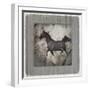 GypsyHorse Collection V1 12-LightBoxJournal-Framed Giclee Print