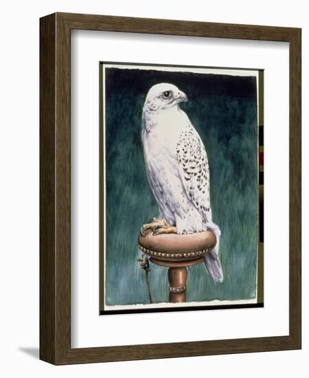 Gyr Falcon, 1986-Sandra Lawrence-Framed Giclee Print