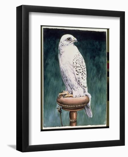 Gyr Falcon, 1986-Sandra Lawrence-Framed Giclee Print