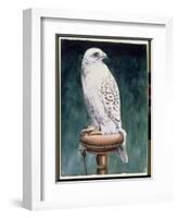 Gyr Falcon, 1986-Sandra Lawrence-Framed Giclee Print