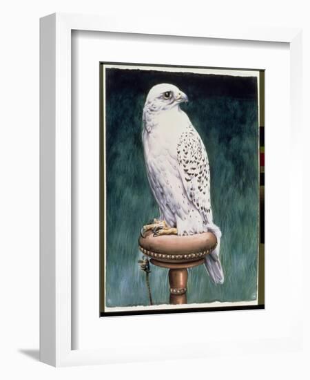 Gyr Falcon, 1986-Sandra Lawrence-Framed Giclee Print