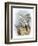 Gyr-Falcon-English-Framed Premium Giclee Print