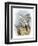 Gyr-Falcon-English-Framed Premium Giclee Print