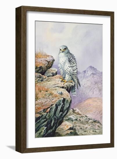 Gyrfalcon-Carl Donner-Framed Giclee Print