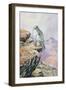 Gyrfalcon-Carl Donner-Framed Giclee Print