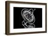 Gyro-anderaguirre-Framed Photographic Print