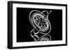 Gyro-anderaguirre-Framed Photographic Print