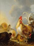 Cockerel and Hens in a Landscape, 1649-Gysbert Hondecoeter-Framed Stretched Canvas