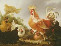 Cockerel and Hens in a Landscape, 1649-Gysbert Hondecoeter-Framed Stretched Canvas