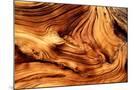 Wood Mount