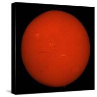 H-Alpha Full Sun in Red Color with Active Areas and Filaments-Stocktrek Images-Stretched Canvas