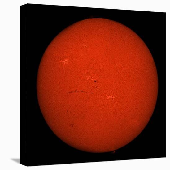 H-Alpha Full Sun in Red Color with Active Areas and Filaments-Stocktrek Images-Stretched Canvas