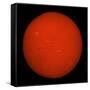 H-Alpha Full Sun in Red Color with Active Areas and Filaments-Stocktrek Images-Framed Stretched Canvas