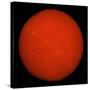 H-Alpha Full Sun in Red Color with Active Areas and Filaments-Stocktrek Images-Stretched Canvas