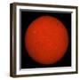 H-Alpha Full Sun in Red Color with Active Areas and Filaments-Stocktrek Images-Framed Photographic Print