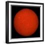 H-Alpha Full Sun in Red Color with Active Areas and Filaments-Stocktrek Images-Framed Photographic Print