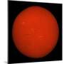 H-Alpha Full Sun in Red Color with Active Areas and Filaments-Stocktrek Images-Mounted Photographic Print
