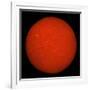 H-Alpha Full Sun in Red Color with Active Areas and Filaments-Stocktrek Images-Framed Photographic Print