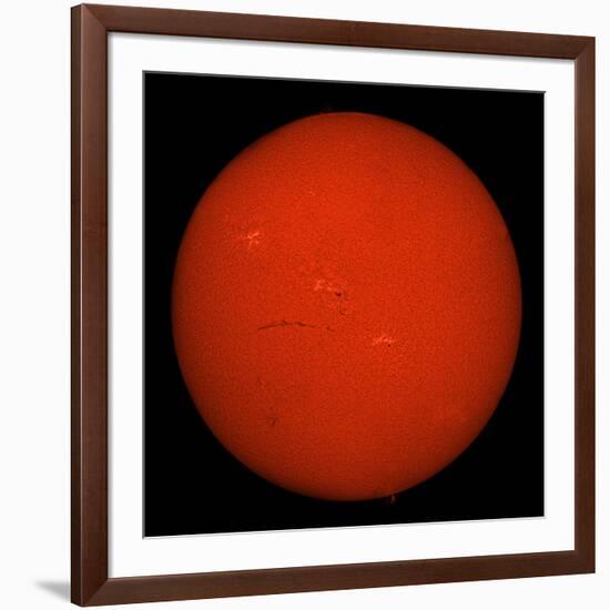 H-Alpha Full Sun in Red Color with Active Areas and Filaments-Stocktrek Images-Framed Photographic Print