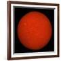 H-Alpha Full Sun in Red Color with Active Areas and Filaments-Stocktrek Images-Framed Photographic Print