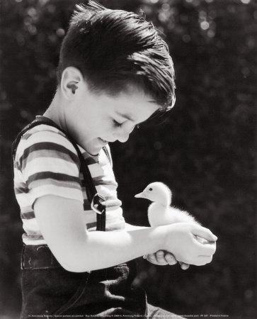 Boy Holding a Duckling