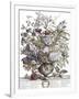 Gramercy White