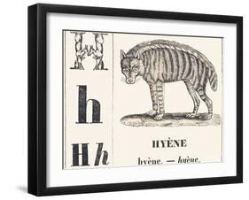 H for Hyene, 1850 (Engraving)-Louis Simon (1810-1870) Lassalle-Framed Giclee Print