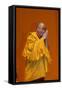 H.H. Dalai Lama at Paris-Bercy, France-Godong-Framed Stretched Canvas