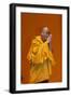 H.H. Dalai Lama at Paris-Bercy, France-Godong-Framed Photographic Print