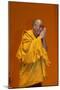 H.H. Dalai Lama at Paris-Bercy, France-Godong-Mounted Photographic Print