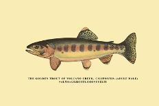 The Brook Trout, Showing Dark or Early Spring Coloration-H.h. Leonard-Art Print