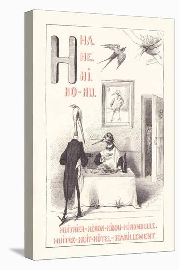 H: HA HE HI HO HU - Oystercatcher - Heron - Owl - Swallow - Oyster - Eight — Hotel — Clothing,1879-Fortune Louis Meaulle-Stretched Canvas