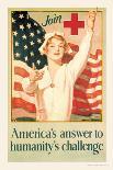 America's Answer to Humanity's Challenge-H. Hayden-Art Print