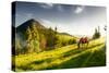 H Horse in a Pasture in the Mountain Valley. Landscape Morning Panorama of the Mountains in Summer-Kotenko-Stretched Canvas