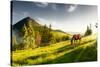 H Horse in a Pasture in the Mountain Valley. Landscape Morning Panorama of the Mountains in Summer-Kotenko-Stretched Canvas