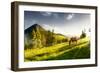 H Horse in a Pasture in the Mountain Valley. Landscape Morning Panorama of the Mountains in Summer-Kotenko-Framed Photographic Print