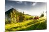 H Horse in a Pasture in the Mountain Valley. Landscape Morning Panorama of the Mountains in Summer-Kotenko-Mounted Photographic Print