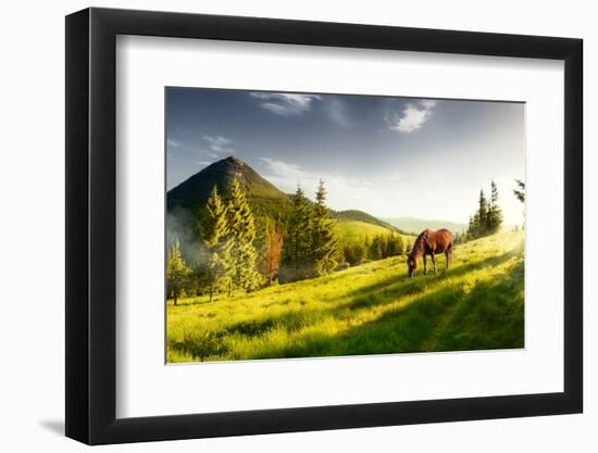 H Horse in a Pasture in the Mountain Valley. Landscape Morning Panorama of the Mountains in Summer-Kotenko-Framed Photographic Print