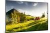 H Horse in a Pasture in the Mountain Valley. Landscape Morning Panorama of the Mountains in Summer-Kotenko-Mounted Photographic Print