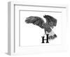 H is for Hawk-Stacy Hsu-Framed Art Print