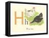 H is for Hen-null-Framed Stretched Canvas